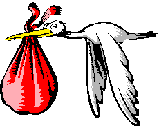 stork